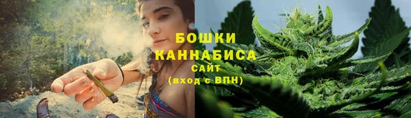 прущие грибы Арсеньев