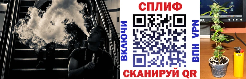 Конопля AK-47  Купить  Петухово 